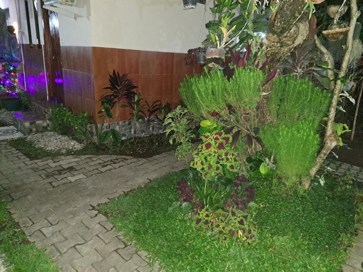 Ascarya Guest House Sanur Zewnętrze zdjęcie